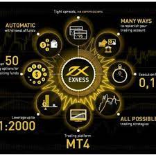 Exness Download And Install on Android and iOS - Download guidelines